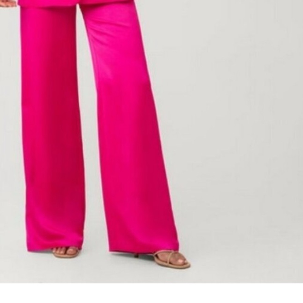 BRAND NEW BEAUTIFUL  RAMY BROOK LLC PINK FUSCIAWide-Leg Pants PARTY ready